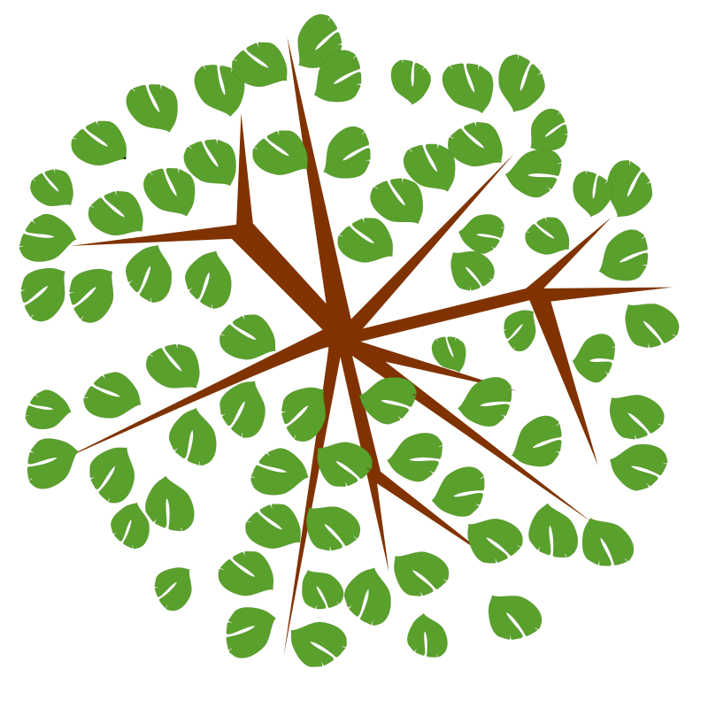 tree-12c