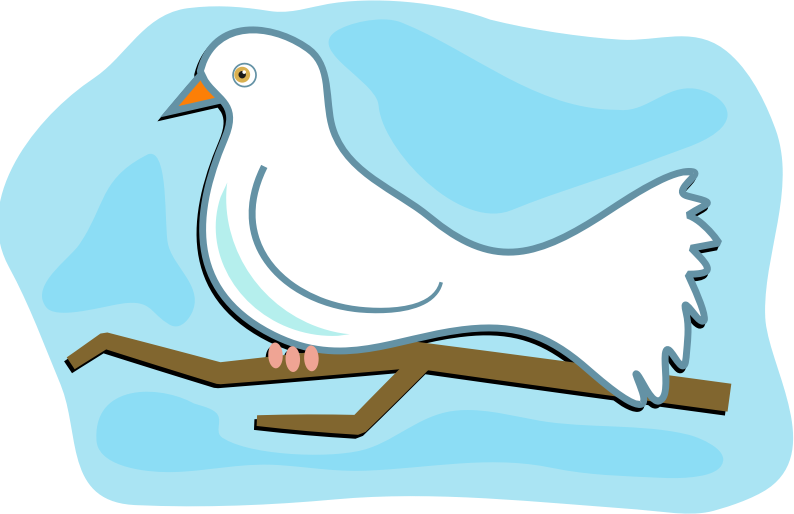 White Dove
