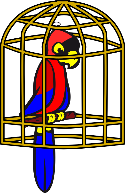 Parrot in a cage