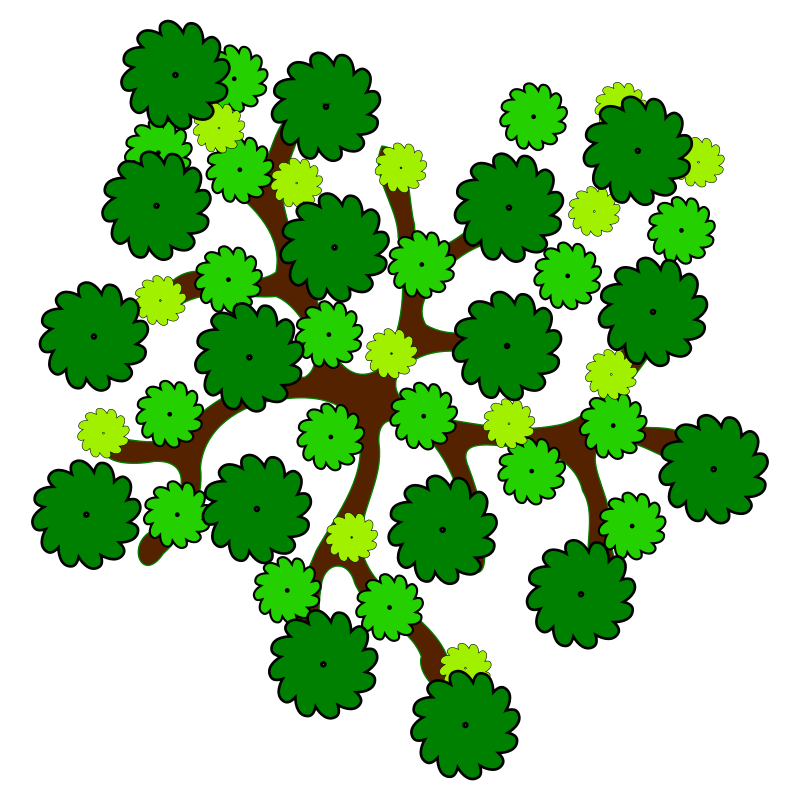 tree-14