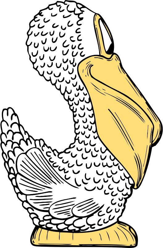 pelican side view
