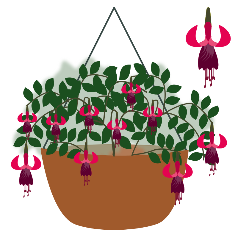 plant-07