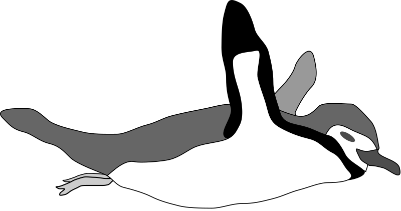 Penguin swim