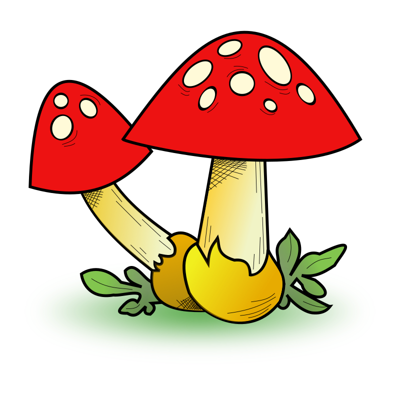 Fungal Forest