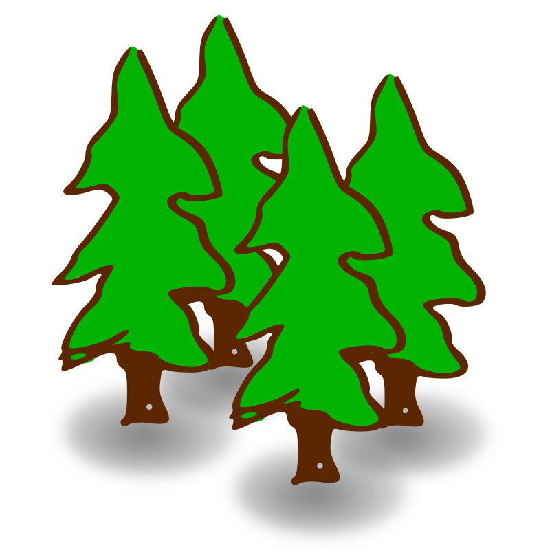 Heavy Evergreen