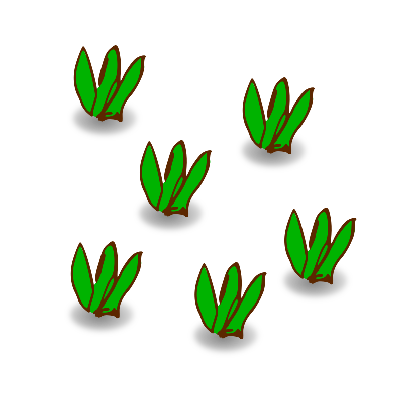 Shrubland