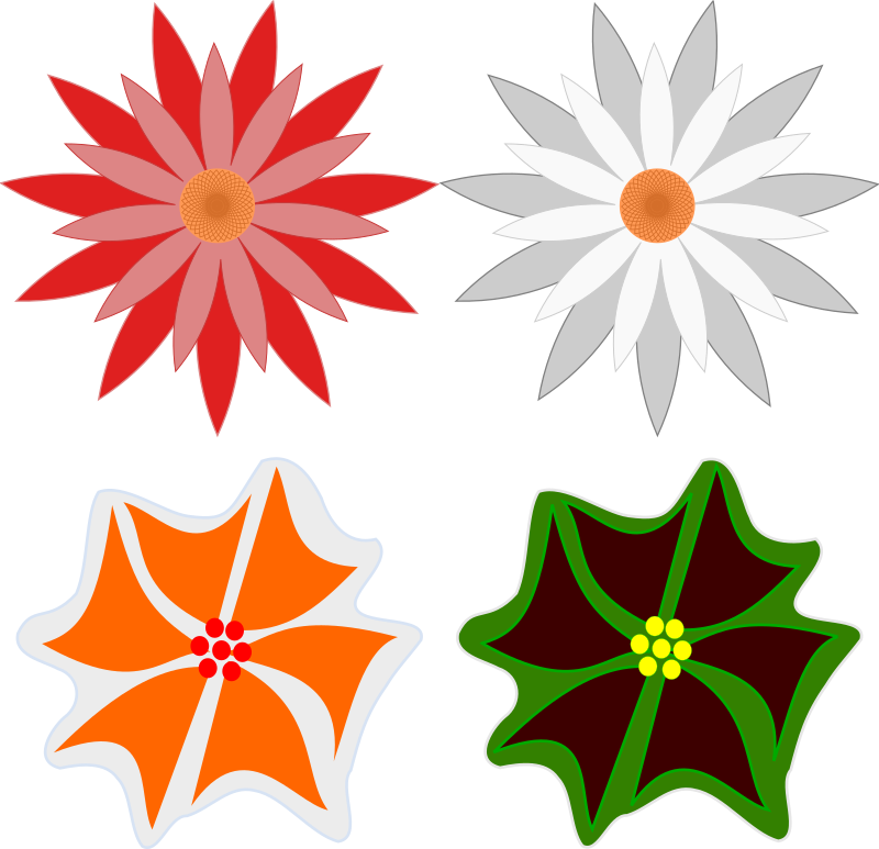 Flower