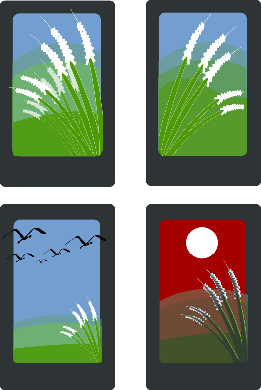 Hanafuda Susuki (August)