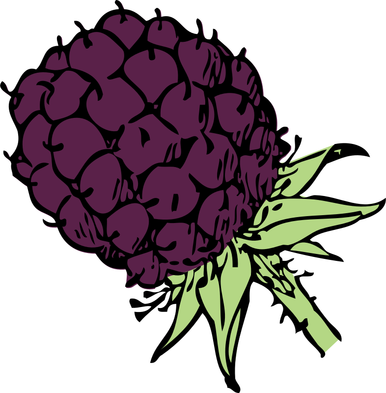 blackberry - color