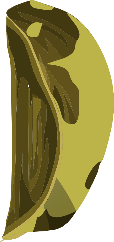Artifact Wooden Apple Piece4