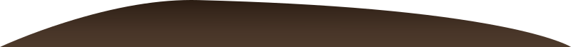 Firebog Background Brown Bump3