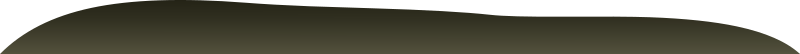 Firebog Background Green Bump2