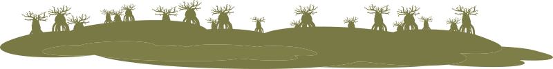 Firebog Background Horizon Bottletrees 1