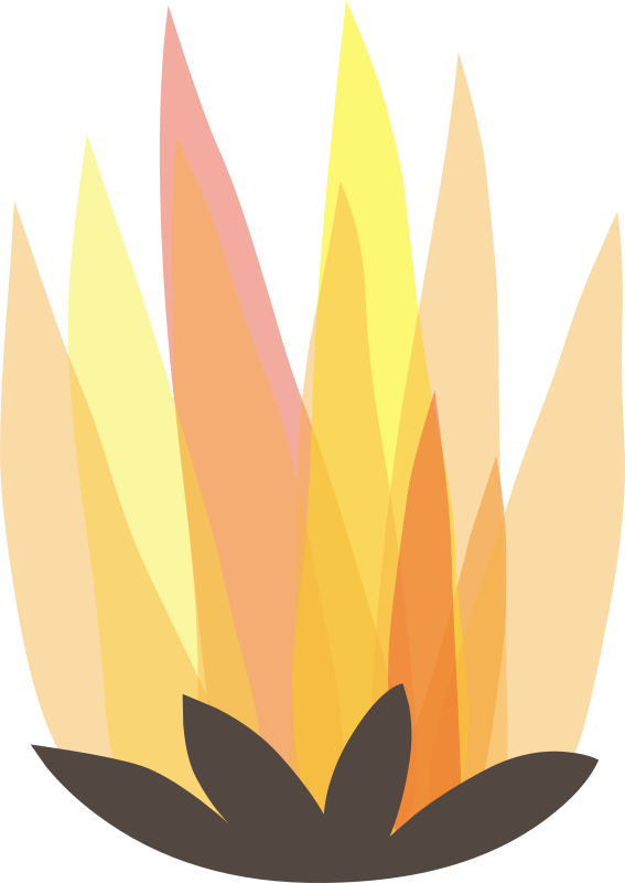Firebog Fire1