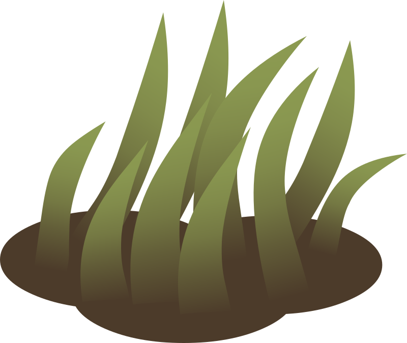 Firebog Grass Solid 5