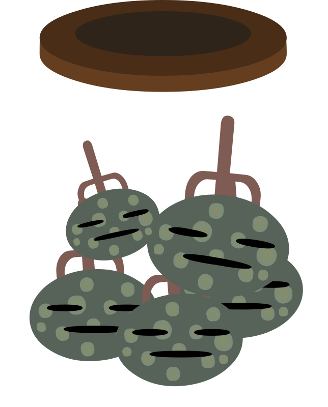 Firebog Jar2