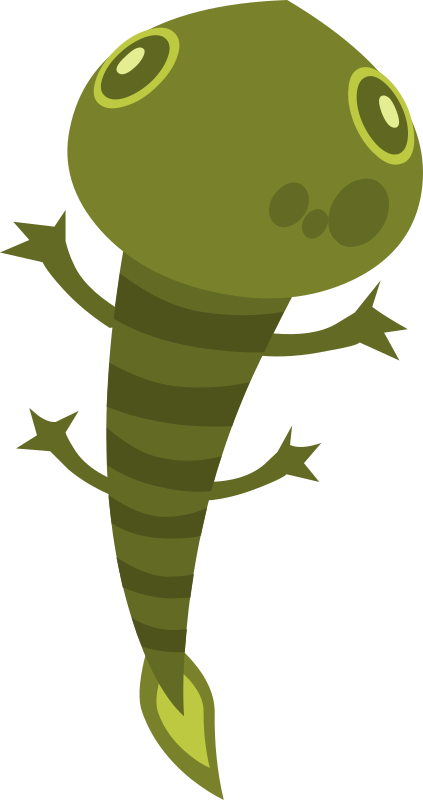 Firebog Lizard1