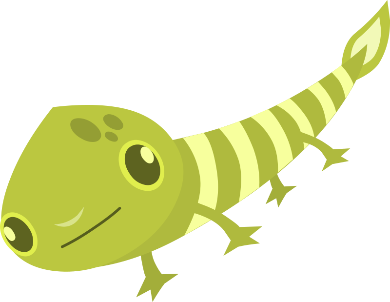 Firebog Lizard2