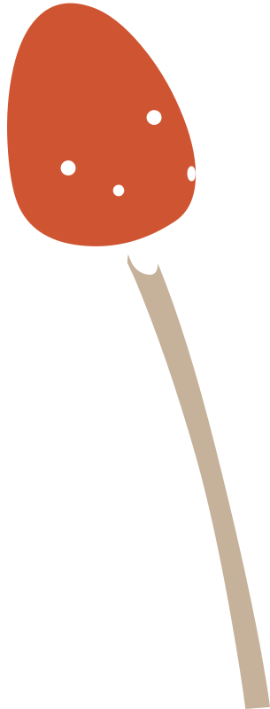 Firebog Mushroom2