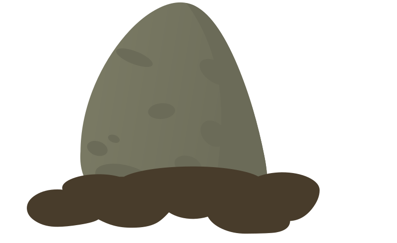 Firebog Stone Moss 3