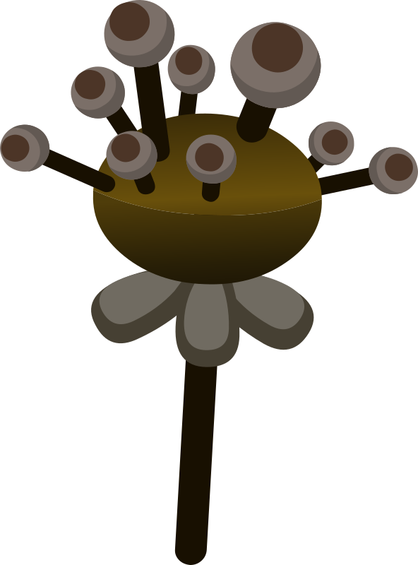 Firebog Underground Plant 1