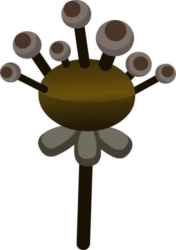 Firebog Underground Plant 2