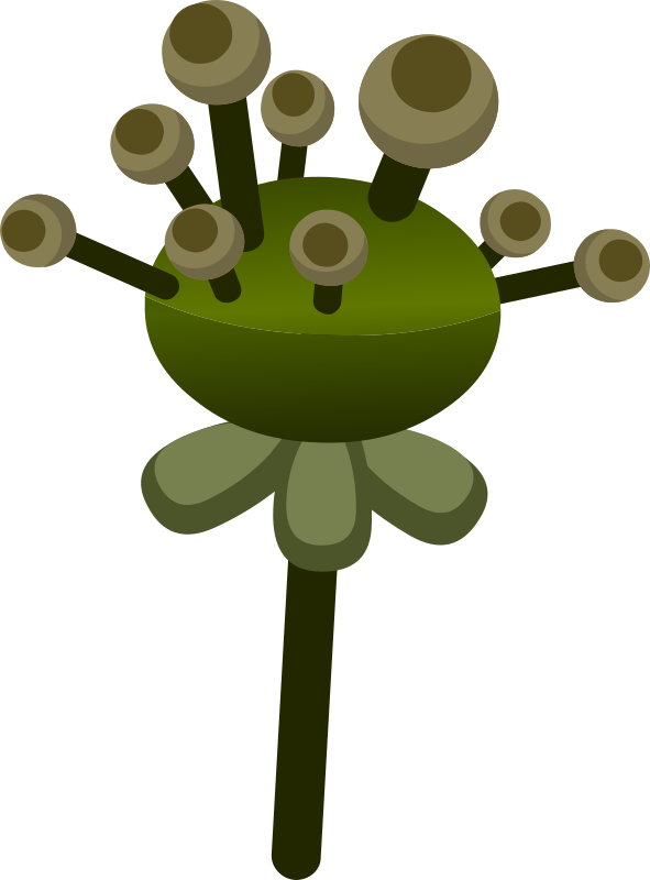 Firebog Underground Plant Green 2
