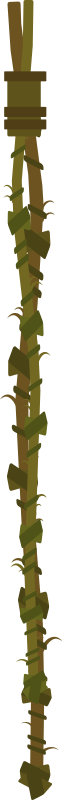 Firebog Vine Rope
