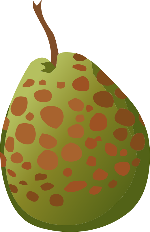 Food Guava Spotted