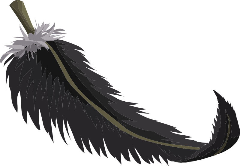 Tools Quill