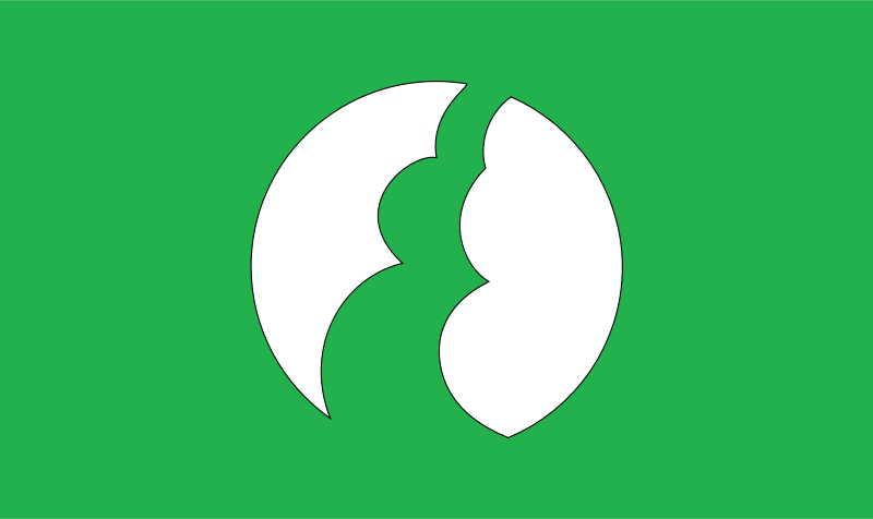 Flag of Togouchi, Hiroshima