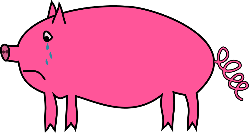 Crying pig