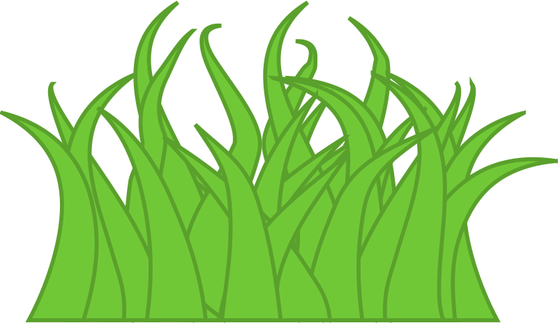 Grass