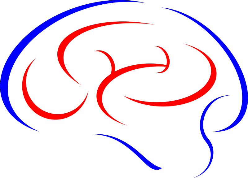 Brain