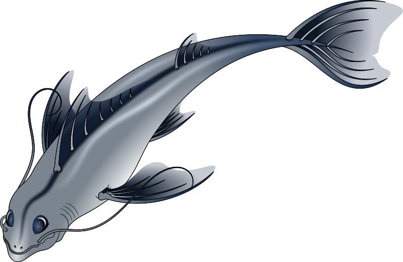 Pescado