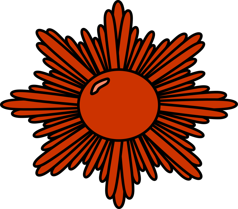 Bronze decorative starburst