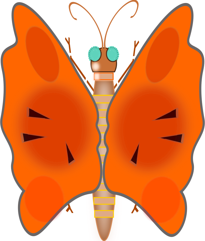 butterfly