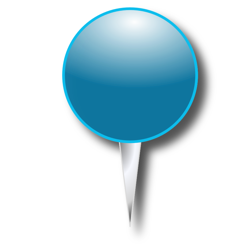 gps pin