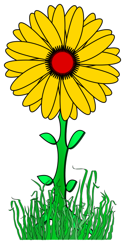 Flower path #3