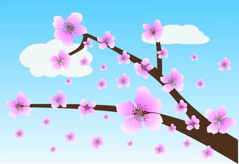 Fiori di pesco