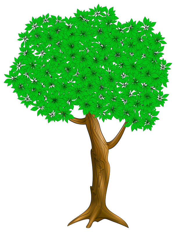 Tree 3