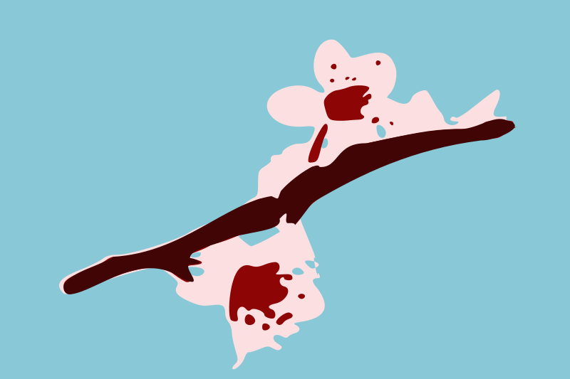 Cherry blossom