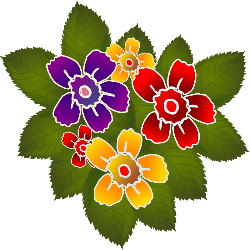 Flores Flowers