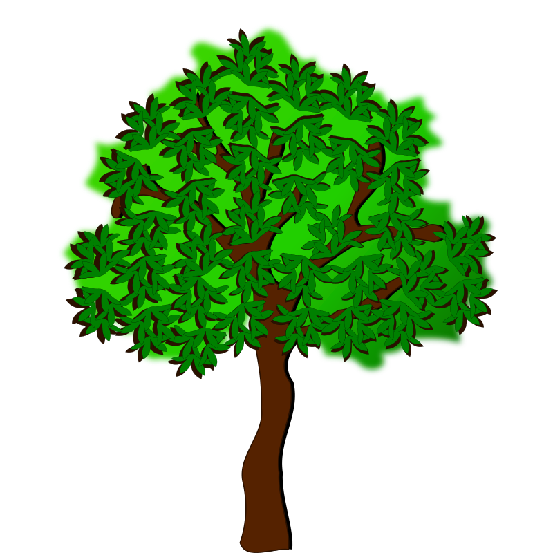 tree-17a