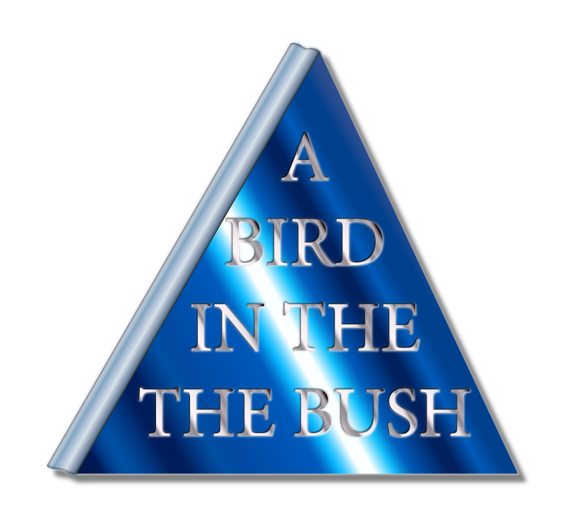 A Bird In The Bush