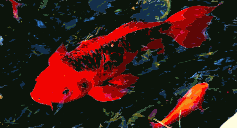 Koi Tilt Shift