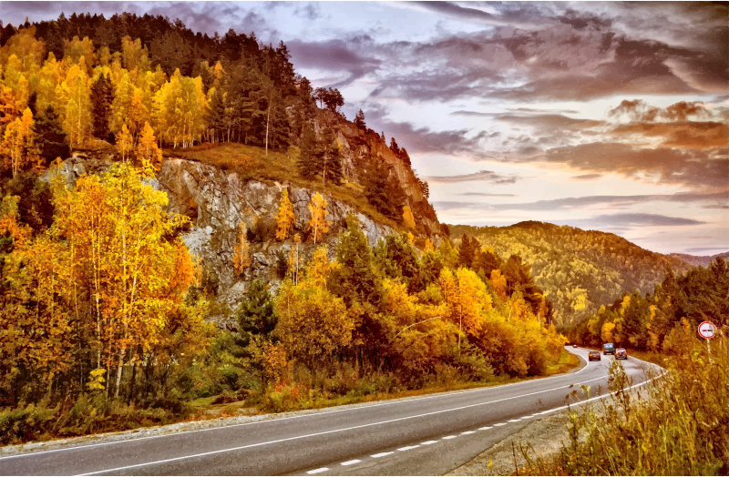 Road In The Mountains