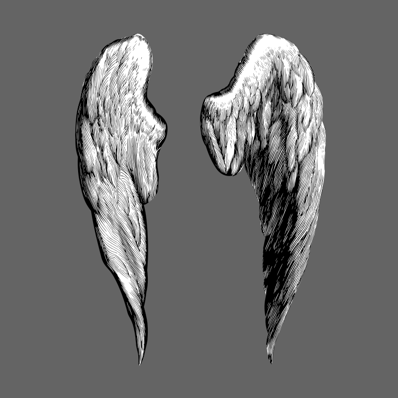 wings