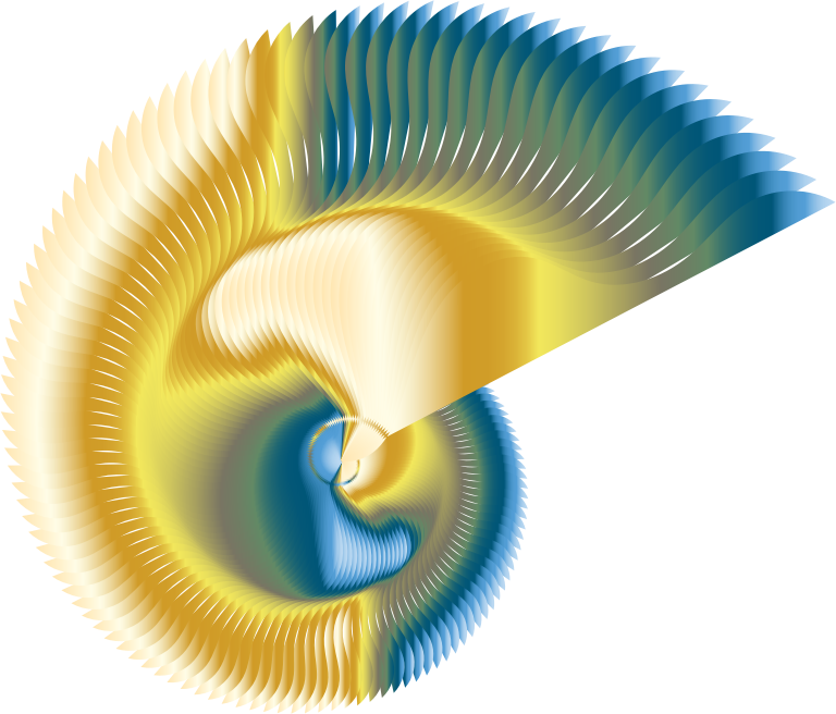 Colorful Nautilus Line Art 2