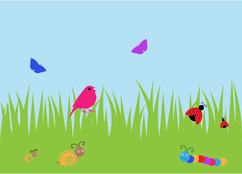 Summer Field Wildlife
